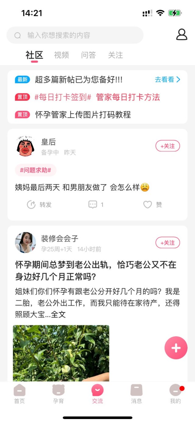 绿豆娃娃