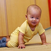 了解一下
