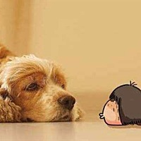 很多怀孕之后的准妈妈会担心，怀孕之后真的不能养猫狗等宠物了吗，家里有宠物的需要寄养或送人吗？