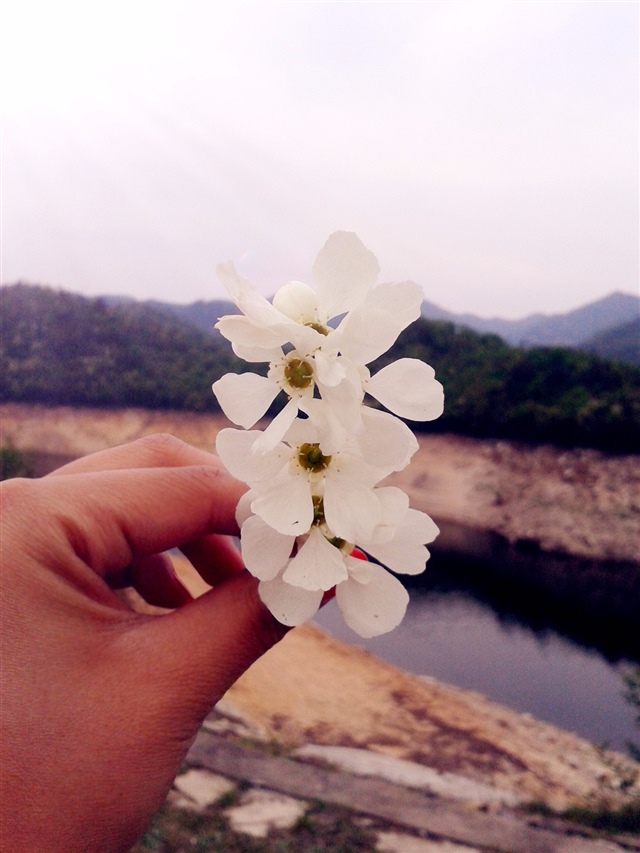 说说我的工作

我是在家里上班的，给一淘宝店做客服。只要是知道我这工作的都说好好呀，能给他们找份这样的工作吗，自由，钱也赚了，宝宝也看了，多好呀。我却想辞掉，怀上二宝的时候好不容易下定决心跟老板说了辞职，老板又挽留，说你生了宝宝后也还是要找工作吧，你跟我干这么几年了我也不想另外找人，夏天不忙，你就休息几个月生了宝宝再上班……老公也是不同意辞，都是想着这份收入还不错，也确实出去找不着这么好的工作。只是没人考虑我的情绪，我天天在家里跟婆婆相处着，一个朋友都没，感觉已经抑郁到不行了。老板还说只要她店在，就一直跟着她干吧，想想这未来五年十年甚至更久都会是这个生活状态，就觉得生活好没劲。