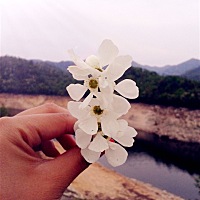 说说我的工作 我是在家里上班的，给一淘宝店做客服。只要是知道我这工作的都说好好呀，能给他们找份这样...