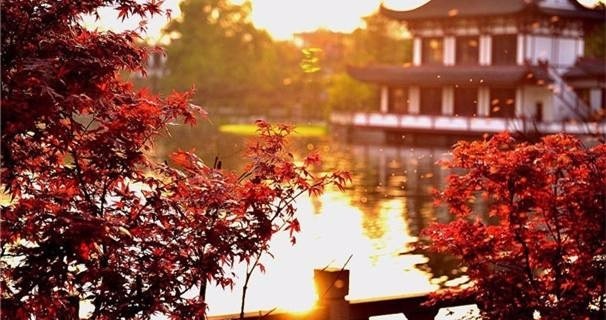 人生
不过是一场旅行
你路过我，我路过你
然后，
各自修行，各自向前

许多伤害本来就是一次性的，可能因为有了你的允许和执念，它才像一把锯子不断在你心上拉扯，紧紧握着那把锯子不放的人，其实是你自己。