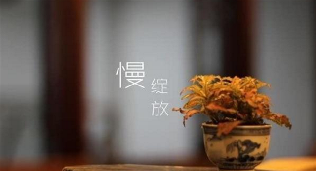 这让我联想到前几年我自己的一些经历。

儿子青春期后，从学习、专业，到穿着、生活方式等我俩都存在着很大差异，我看他不顺眼，他看我就烦，总是处于战争和备战状态，一度紧张到互不理睬。

 我当时问自己，这是为什么，我都是为他好，为何他不理解？后来，我尝试和生活和解，多照镜子，孩子和父母就是我们最好的镜子。时常照一照，就知道该如何做儿女心中的好母亲、母亲心中的好儿女了。