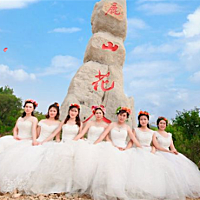 云英化水景光新，略似骖鸾缥缈身。 一队画师齐敛手，只容心里贮秾春。