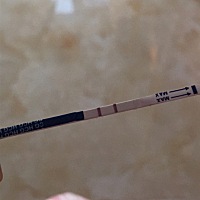 昨天刚刚检查出怀孕，身体极度的不舒服。呜呜