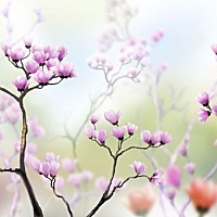 有多少宝妈愿意和公婆住一起的？ 反正我是不喜欢和公婆一起住，不喜欢他们带我儿子，他们很不讲卫生...