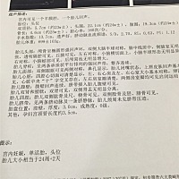 大家帮忙看看是男宝还是女宝