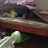 我们家的熊孩子！特别皮😂