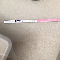排卵试纸阳，可丽兰有灰印，能怀孕吗，明天月经日