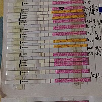 9月24号末次，29干净，2号4号5号每晚各一次AA，3号开始测排，4号排卵试纸强阳，直到今天还是强阳，会不...