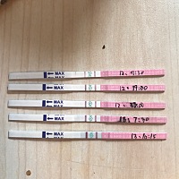 怎么配照片发不出去帖子呢