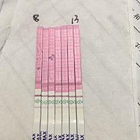 我是10月2号排卵，图片上是我8号到13号测的排卵试纸，大家懂的帮我看看，有没有希望怀上