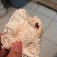 孕10周 4 昨天洗澡发现流褐色分泌物带黑色血块 肚子不痛 有没有知道怎么回事的 求告知