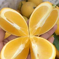 没怀孕之前就喜欢吃酸的😂怀孕之后更喜欢了