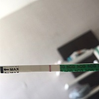 移植后第五天，可以看到很淡一条