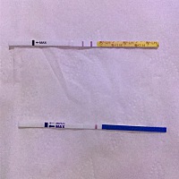 排卵第十二天。如下图。还有希望吗？  上面plsz.下面zzy。  月经周期长。35-37天左右。