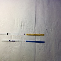 亲们。帮忙看一下。上面是排卵。下面是早早孕。