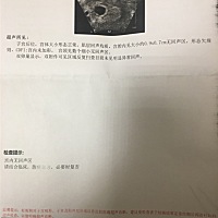 有没有朋友能看懂这个？
