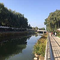 每天都在散步，希望能顺产，为明年上课考工作多腾点时间，宝宝，我们一起加油哦^_^