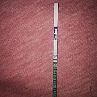 大家帮我看看 这几天要来大姨妈了