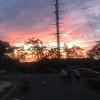 怀孕一个多月，昨晚梦见一条蛇也不小，走哪里都有它，脾气很不好其他人都看到了，都不怎么怕，就我最怕...