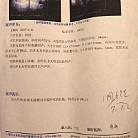 这是男孩还是女孩啊？谁知道。