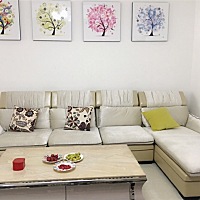 养猪生活开启......