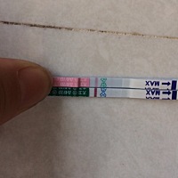 上个月28号来的月经，1号号净的，8号下午测的，是不是假的呀！我这个月吃了促排的中药，会不会提前排卵...