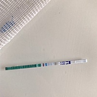 月经超了六天 下午测的早孕试纸 这是怀孕了吗？