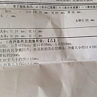 九周检查结果，能看男女吗？好奇…