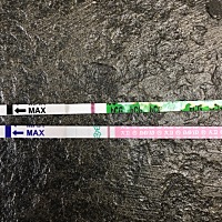 姨妈推迟两天，一个排卵试纸，一个早孕试纸，刚刚测的，有姨妈感，是不是就没戏了，不用想了