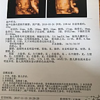 四维看男女