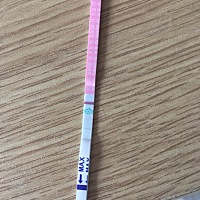 软件给我算的19号为排卵日，今天20号，测的阴性，一点排卵的迹象都没有，我是不是错过了！！！