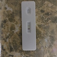 是怀了吗？胸胀半个月了，偶尔还肚子疼跟要来大姨妈似的