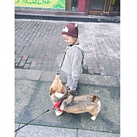 给宝宝拍照是妈妈的日常工作。