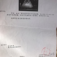 这个是9周＋、帮忙看看男孩、女孩