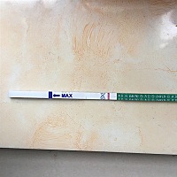 末次月经11月10号  排卵日应该是25号 这是有了么？ 不仔细看不出来呀 ！是不是我太着急了 ？意念么？