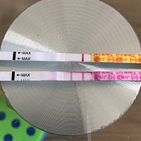 排卵后第十三天，用晨尿测早早孕白板，排卵试纸阳性，还有怀孕的机会么？明天是月经日，现在还没来月经...