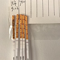 连着测两天排卵都是这样的情况，这个正常吗，求指点