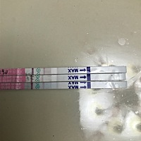 11月18日末次月经开始日，昨天下午开始测排卵，今天又测两遍，有懂的吗？帮忙看看