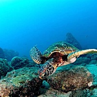 夫妻生活是需要经营的，除了你就是他，其它的都是附属品。很多人去抱怨婆婆公公，老公，或者他前妻，孩...