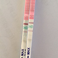 月经一直不准，上次10.26号，今早随意测一下，排卵强阳，早孕淡淡两条杠，是怀孕了吗？