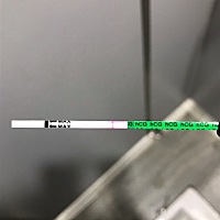 10.25号来的月经，每个月都会推迟一个星期！12.3号开始胸胀，肚子也有来姨妈的感觉！下午买了个早早孕试...