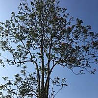 元旦婚期，今天测怀孕🤰，意外的，惊吓啊，啊啊啊！二人世界呢！我还没有准备好。郁闷～