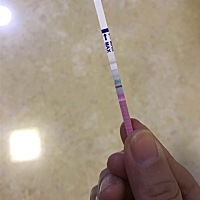 再2⃣️天3⃣️天月经就该来了。 但是心里老是又期待她别来。连续三天用了排卵试纸测了测。都是这个样子...