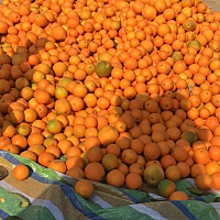 有喜欢吃这玩意的吗？ 我们家的特产 哈哈