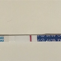 没测排卵，但是软件上显示11.26号—12.5号是排卵期，29号到5号都有同房，今天测早早孕是白板，不知道是...