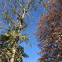 你们一天大概玩多久手机和平板？有没有买防辐射服？