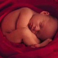 💫 求子先调母  宫寒的人，不容易怀孕，而且会痛经！ 有人说，不会啊，我就怀上了，而且生完之后就不...