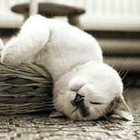 今天给宝宝买了两套衣服，婆婆有点不高兴了。家里小孩衣服别人送的多的是，肯定是够用的，我这个当妈的...